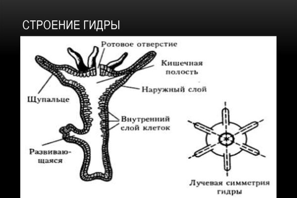 Зеркало блэкспрут bs2tor nl