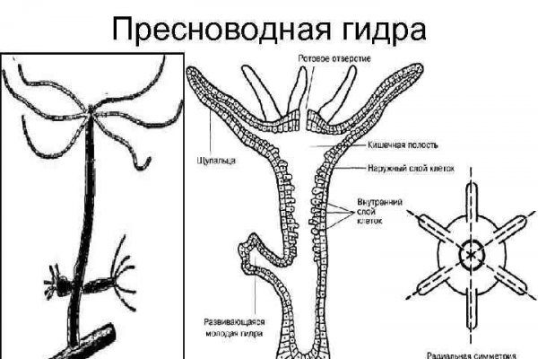 Блэк спрут ссылка годнотаба