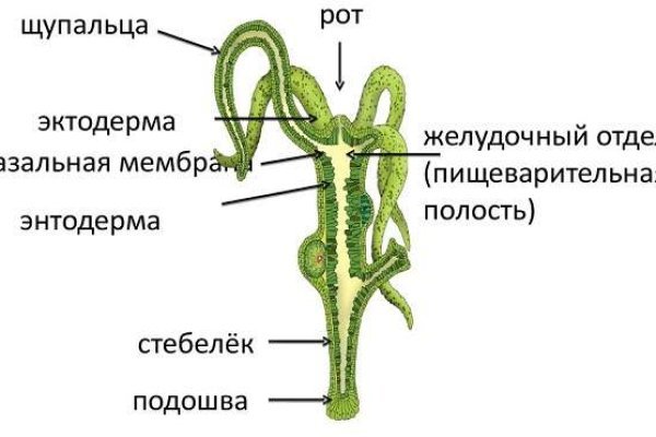 Блэкспрут зеркало bs2onion org