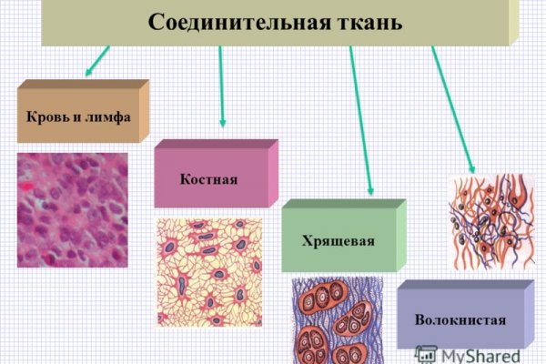 Блэк спрут pics bs2web top