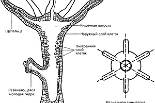 Сайт тор ссылка blacksprut adress com