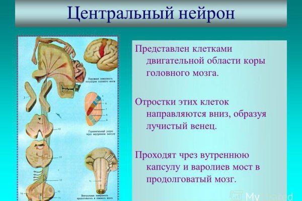 Рабочая blacksprut на сегодня клаб bs2web top