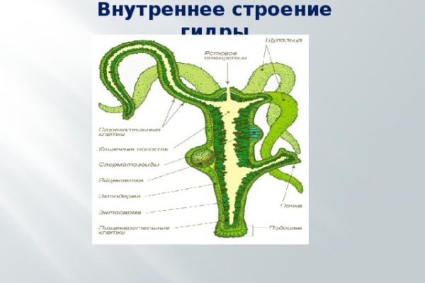 Блэкспрут рабочая ссылка