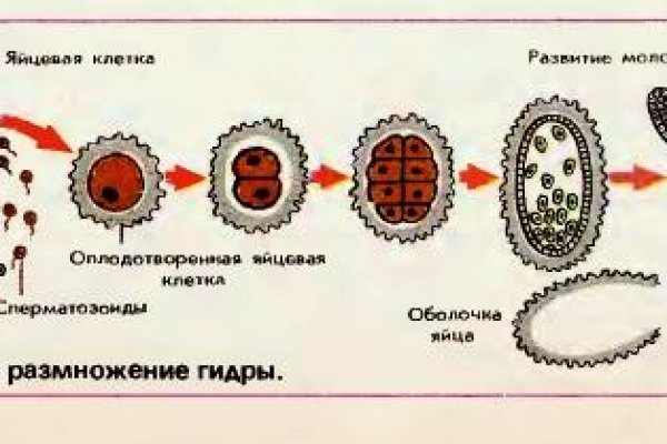 Ссылка на блекспрут blacksprute com