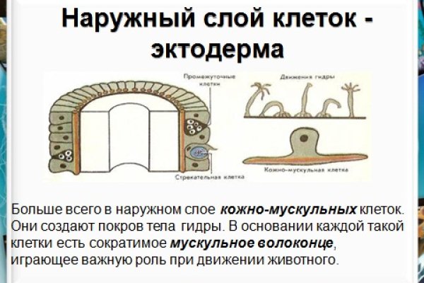 Блэкспрут даркнет маркет